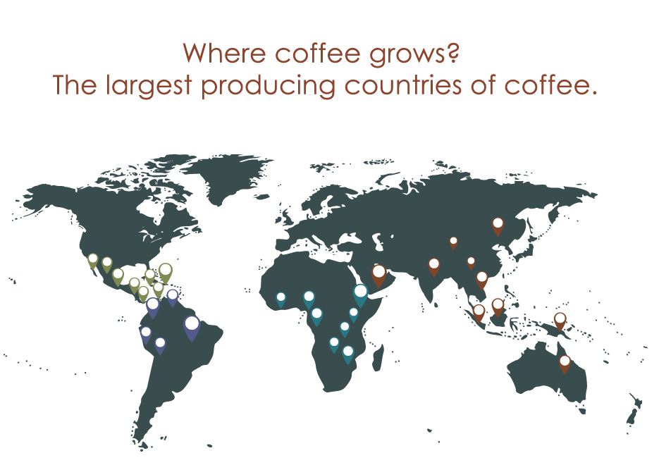Coffee World Infographic